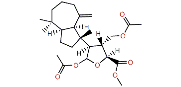 15,16-Diacetoxyshahamin B